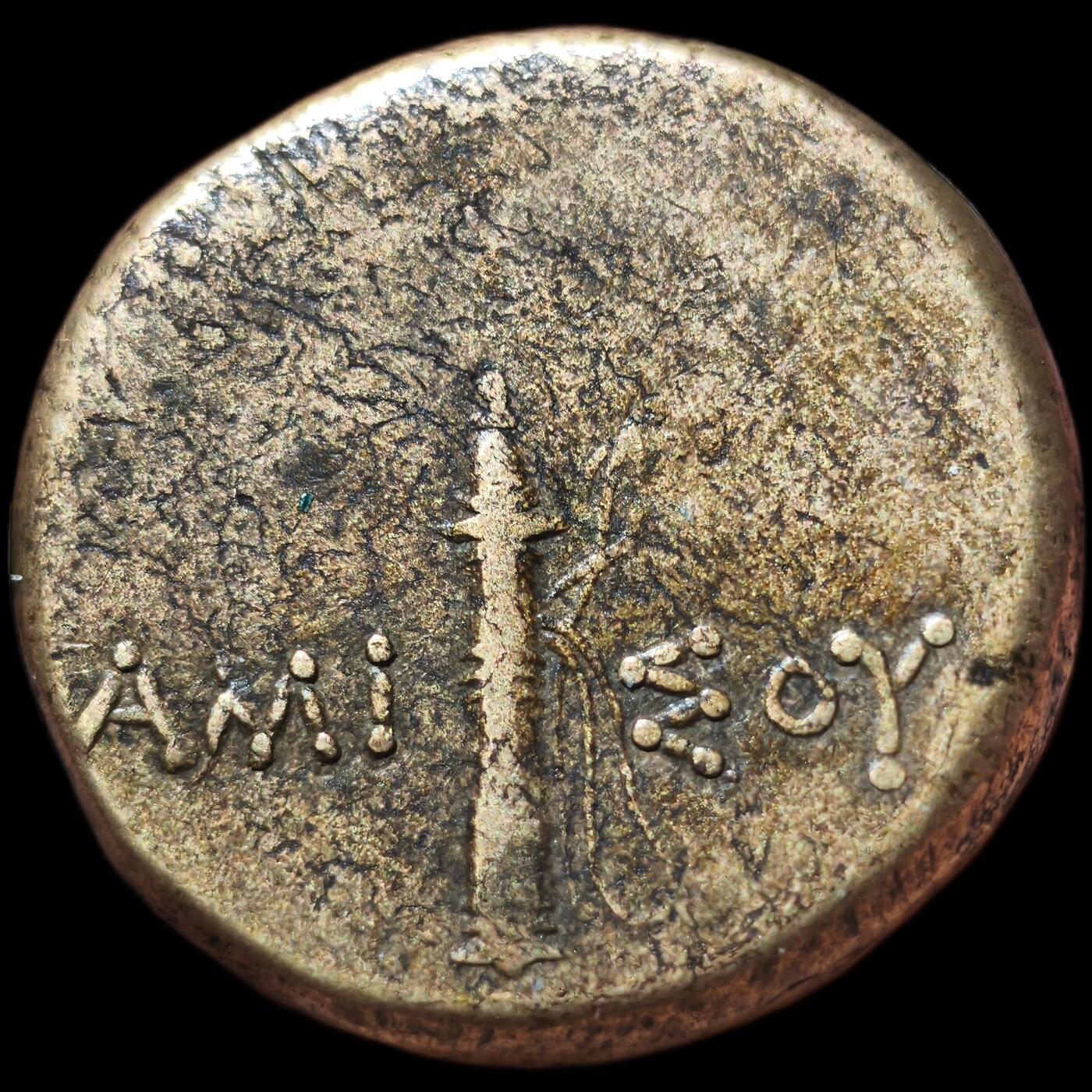 星盘世界钱币 5.2年度精品币大拍 一周年抽奖活动