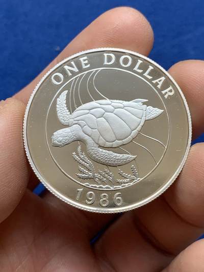 《竞宝斋》第484场 周日，周一，周二 3场连拍 （全场包邮）20级店铺 欢迎送拍 百慕大1986年海龟1元银币（精制），925银，海洋生物主题，海龟浮雕栩栩如生，镜面工艺，品相极美，世界野生动物银币系列精品，收藏级品相