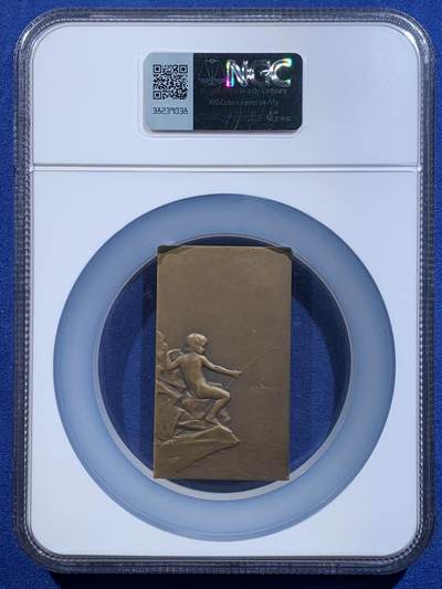 《竞宝斋》第484场 周日，周一，周二 3场连拍 （全场包邮）20级店铺 欢迎送拍 NGC MS64BN 法国新艺术时期溪边少女铜章 普吕多姆1904年 林间少女与垂钓童子 清凉章 高分好品 加大加厚盒