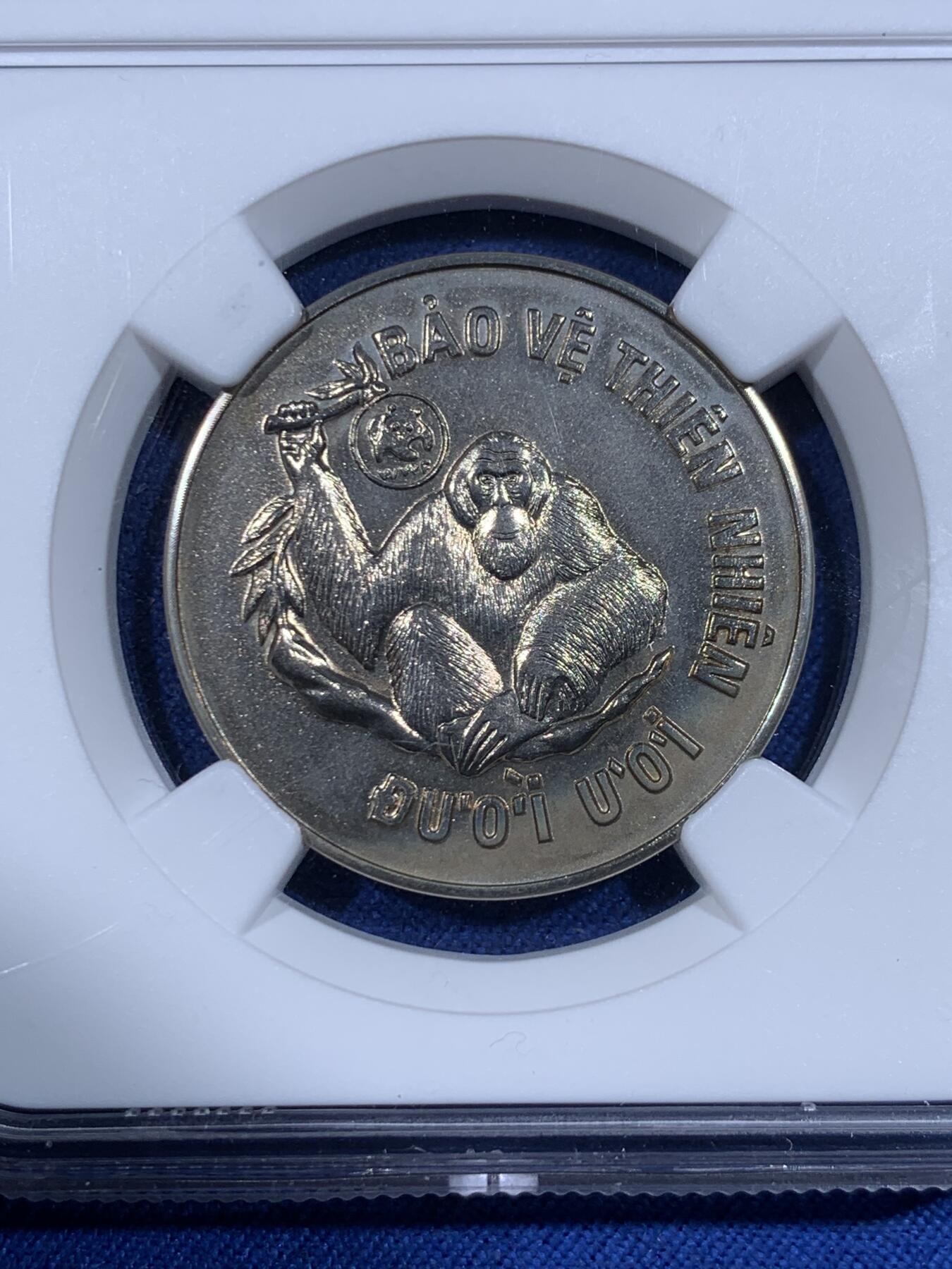 《竞宝斋》第484场 周日，周一，周二 3场连拍 （全场包邮）20级店铺 欢迎送拍