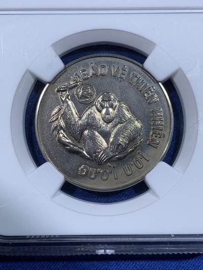 《竞宝斋》第484场 周日，周一，周二 3场连拍 （全场包邮）20级店铺 欢迎送拍 NGC MS66 越南1987年10DONG婆罗洲红毛猩猩镍币，币面除猩猩外还有WWF世界自然基金会熊猫