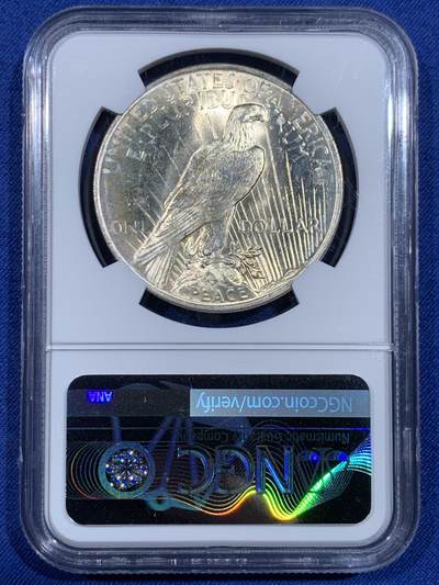 《竞宝斋》第484场 周日，周一，周二 3场连拍 （全场包邮）20级店铺 欢迎送拍 NGC MS62 美国1922年和平1美元银币