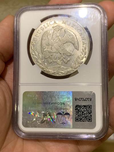 《竞宝斋》第484场 周日，周一，周二 3场连拍 （全场包邮）20级店铺 欢迎送拍 NGC MS64 墨西哥1884年 PIMH老鹰银币 圣路易斯波多西 小厂精品之作 NGC冠军分 难得筹码 藏家朋友们把握住机会