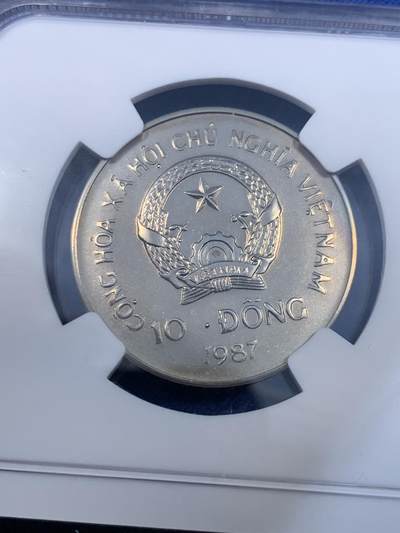 《竞宝斋》第484场 周日，周一，周二 3场连拍 （全场包邮）20级店铺 欢迎送拍 NGC MS66 越南1987年10DONG婆罗洲红毛猩猩镍币，币面除猩猩外还有WWF世界自然基金会熊猫