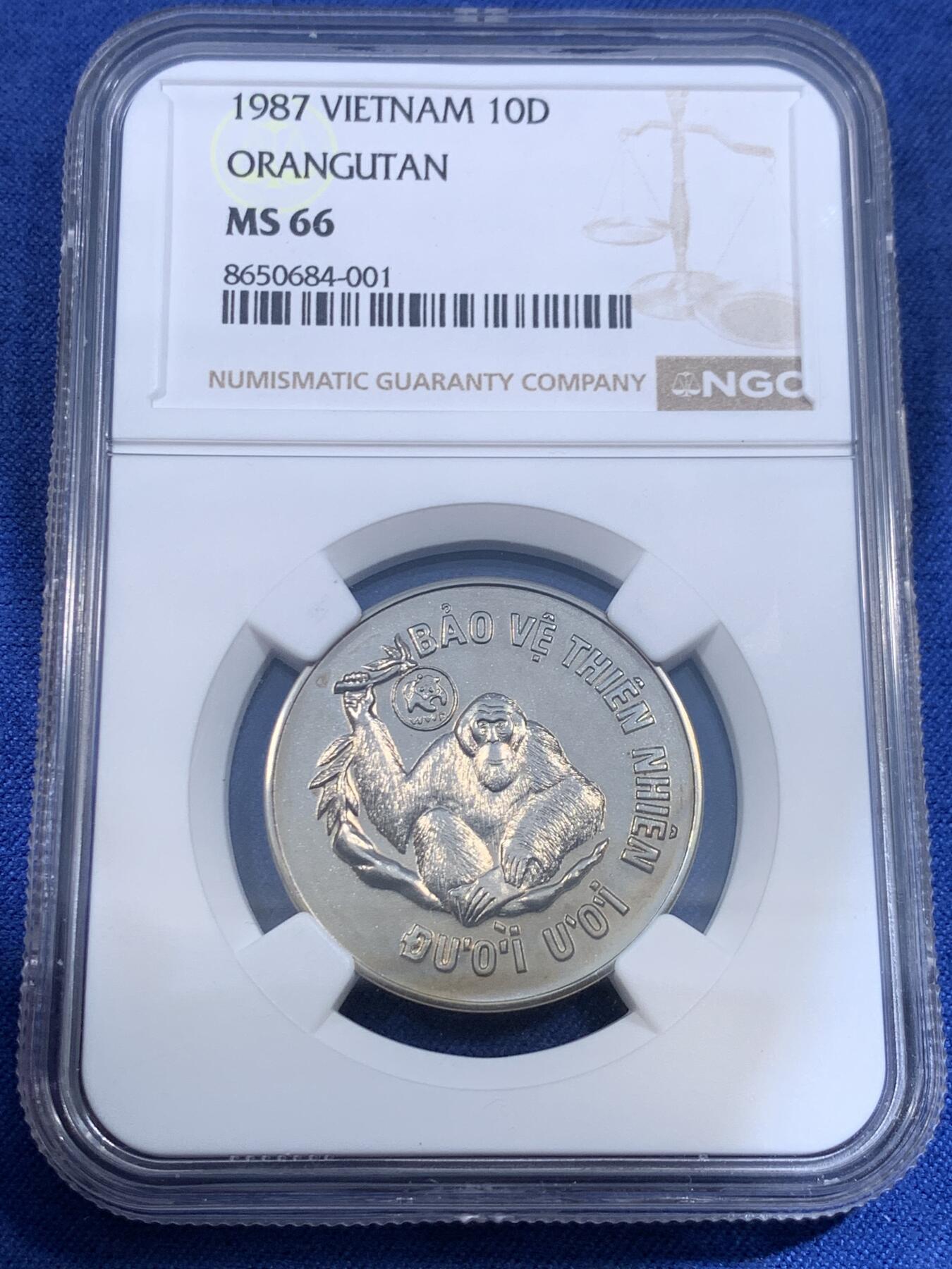 《竞宝斋》第484场 周日，周一，周二 3场连拍 （全场包邮）20级店铺 欢迎送拍