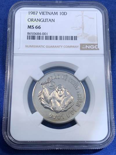 《竞宝斋》第484场 周日，周一，周二 3场连拍 （全场包邮）20级店铺 欢迎送拍 - NGC MS66 越南1987年10DONG婆罗洲红毛猩猩镍币，币面除猩猩外还有WWF世界自然基金会熊猫