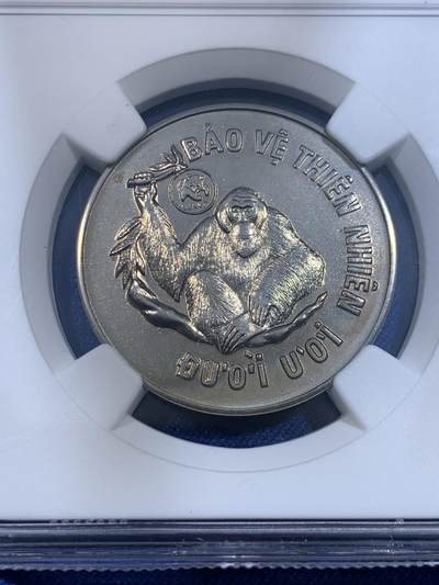 《竞宝斋》第484场 周日，周一，周二 3场连拍 （全场包邮）20级店铺 欢迎送拍 NGC MS66 越南1987年10DONG婆罗洲红毛猩猩镍币，币面除猩猩外还有WWF世界自然基金会熊猫