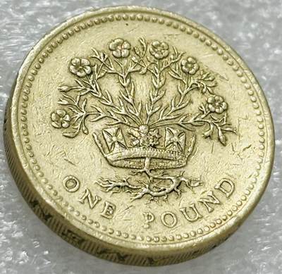 文馨钱币收藏第 302 场，国外回流老铜币，中东阿拉伯地区，拉美等国货币，30 号 1 号二连拍，长期接代拍业务，预计 4 月 4-5 号发货 英国1991 年北爱尔兰亚麻 1镑