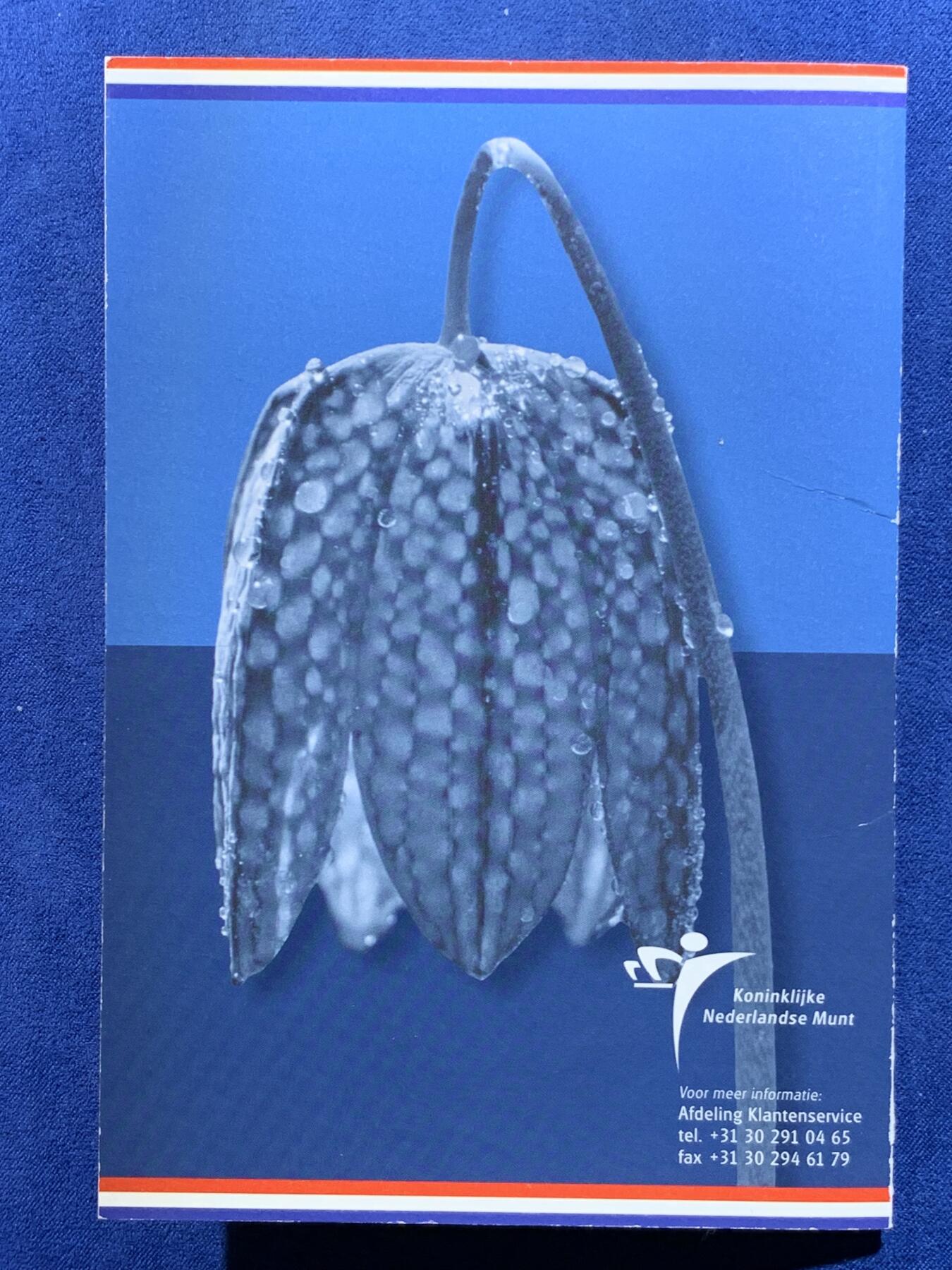 《竞宝斋》第484场 周日，周一，周二 3场连拍 （全场包邮）20级店铺 欢迎送拍