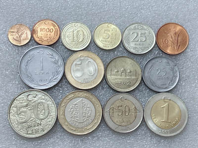 第一海外回流一元起拍收藏 散集专场  第313期 - 土耳其硬币 14枚 无重复