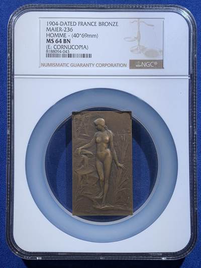 《竞宝斋》第484场 周日，周一，周二 3场连拍 （全场包邮）20级店铺 欢迎送拍 NGC MS64BN 法国新艺术时期溪边少女铜章 普吕多姆1904年 林间少女与垂钓童子 清凉章 高分好品 加大加厚盒