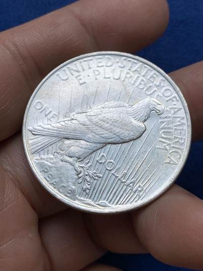 《竞宝斋》第484场 周日，周一，周二 3场连拍 （全场包邮）20级店铺 欢迎送拍 美国1922年和平一美元银币 底光好