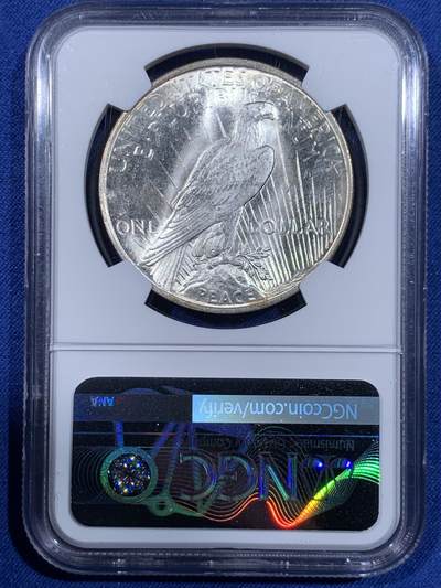 《竞宝斋》第484场 周日，周一，周二 3场连拍 （全场包邮）20级店铺 欢迎送拍 NGC MS63 美国1923年和平银元P版，银光闪闪，转光强烈细节优秀。