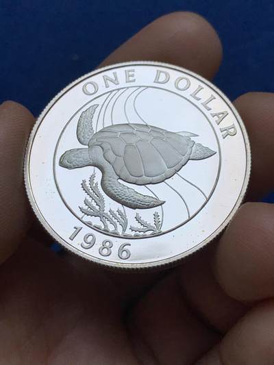 《竞宝斋》第484场 周日，周一，周二 3场连拍 （全场包邮）20级店铺 欢迎送拍 百慕大1986年海龟1元银币（精制），925银，海洋生物主题，海龟浮雕栩栩如生，镜面工艺，品相极美，世界野生动物银币系列精品，收藏级品相