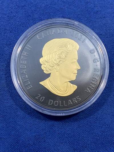 《竞宝斋》第484场 周日，周一，周二 3场连拍 （全场包邮）20级店铺 欢迎送拍 获奖币 加拿大2021年黑和金系列-灰狼20元部分镀金精制银币 1盎司 999银 发行量4500枚 盒证全