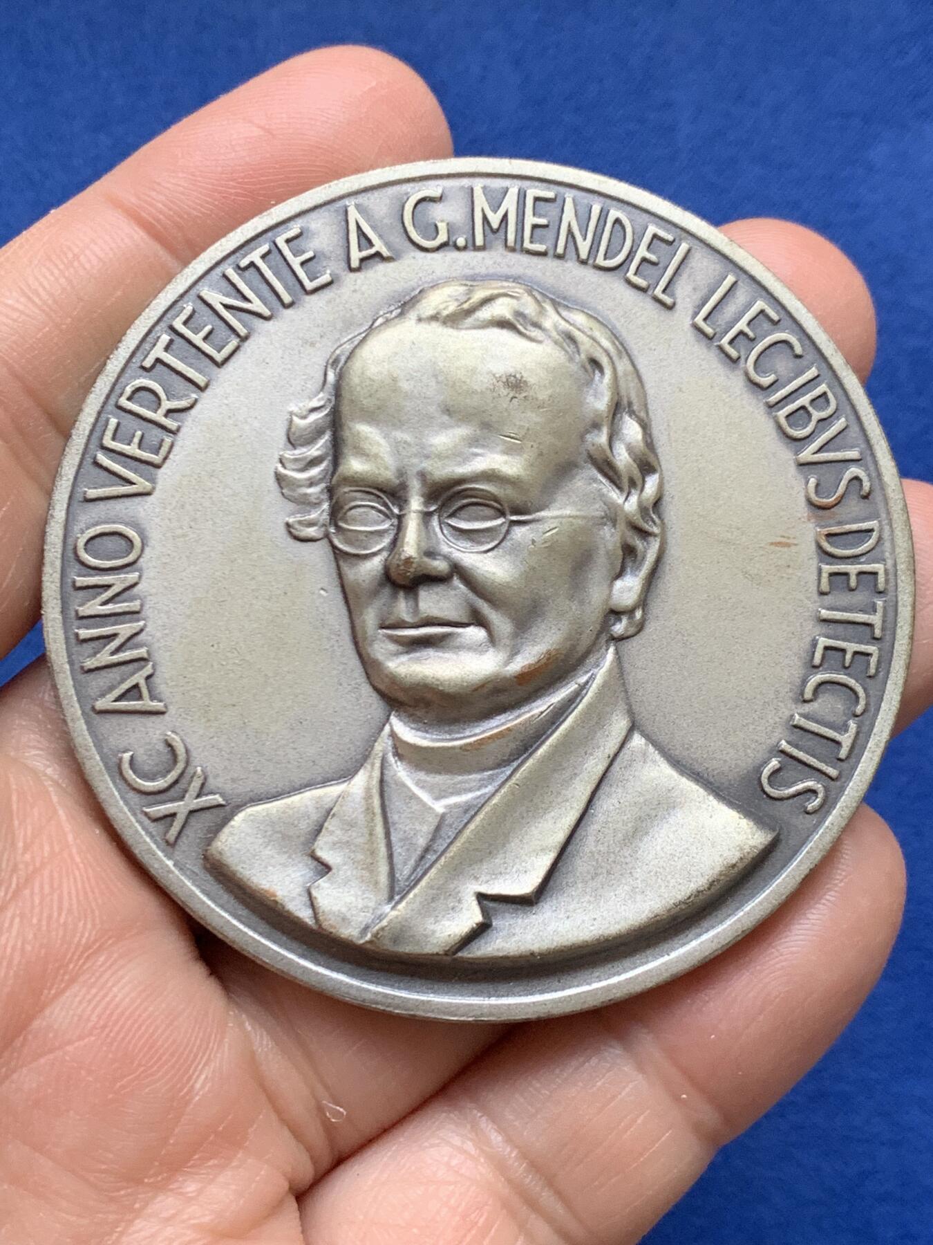 《竞宝斋》第484场 周日，周一，周二 3场连拍 （全场包邮）20级店铺 欢迎送拍