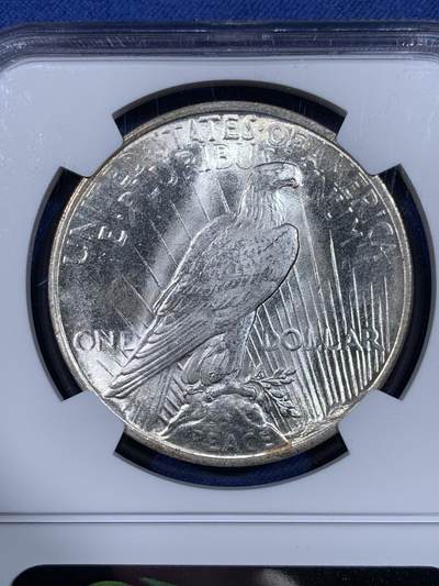 《竞宝斋》第484场 周日，周一，周二 3场连拍 （全场包邮）20级店铺 欢迎送拍 NGC MS63 美国1923年和平银元P版，银光闪闪，转光强烈细节优秀。