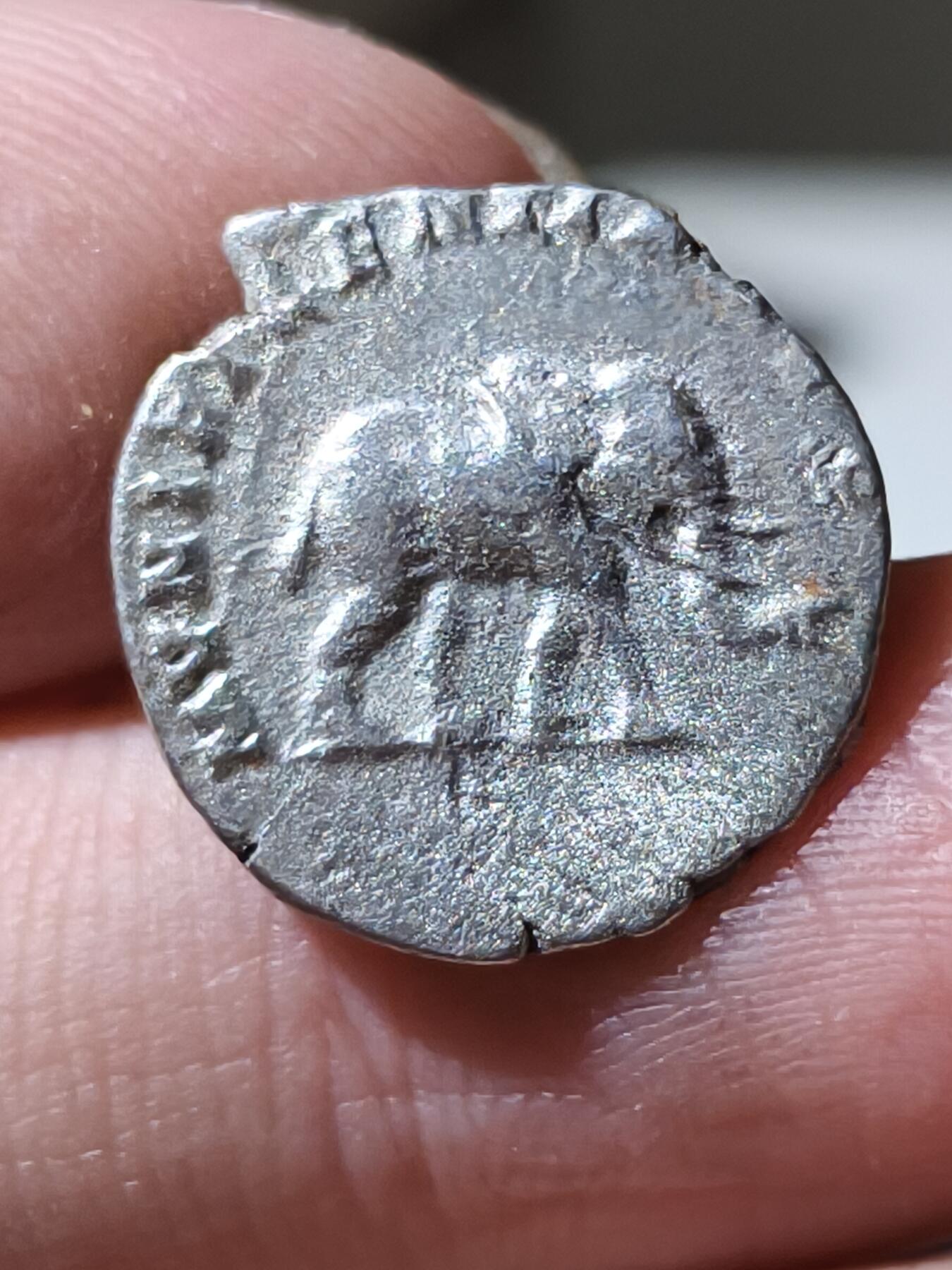 星盘世界钱币 5.2年度精品币大拍 一周年抽奖活动