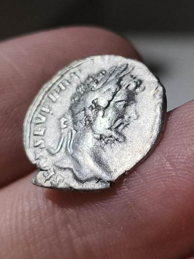 星盘世界钱币 5.2年度精品币大拍 一周年抽奖活动 塞维鲁第纳尔，发行于公元196-197年，罗马造币厂。背面大象，币文MVNIFICENTIA AVG，慷慨的奥古斯都。这类硬币上的大象，是当时用于庆典活动的，以此来表示皇帝慷慨地为市民准备活动。