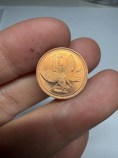 2026年集古藏今外币拍卖第四期-第5场—（总第325拍），可以寄存60天，满160元包邮。 1975年巴布亚新几内亚1分