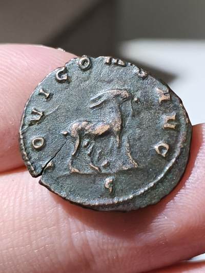 星盘世界钱币 5.2年度精品币大拍 一周年抽奖活动 加里恩努斯安东尼BI银币，公元260至268年铸于罗马厂，背山羊，币文IOVI CONS AVG，是Iovi Conservatori Augusti的缩写，即朱庇特是奥古斯都的保护者。