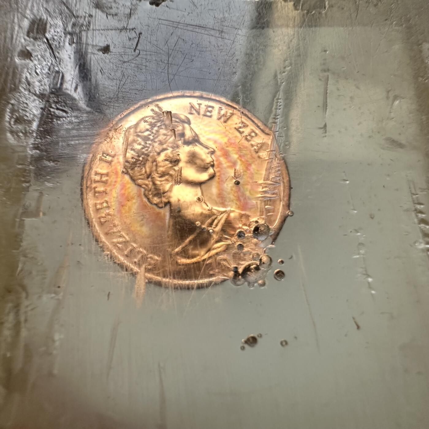 🌹外币初藏🌹🐯2026年第48场   每周二四六晚8️⃣点  大洋洲硬币专场