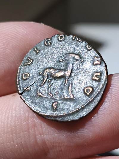 星盘世界钱币 5.2年度精品币大拍 一周年抽奖活动 加里恩努斯安东尼BI银币，公元260至268年铸于罗马厂，背山羊，币文IOVI CONS AVG，是Iovi Conservatori Augusti的缩写，即朱庇特是奥古斯都的保护者。