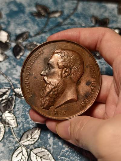 抚柳草堂-第二十九期章牌钱币  奖章勋章 满百包邮 放漏专场 - 1876比利时布鲁塞尔卫生与救援大会铜章 比利时著名雕刻师Charles Wiener作品 直径60.5mm 重93.7g  品相如图 