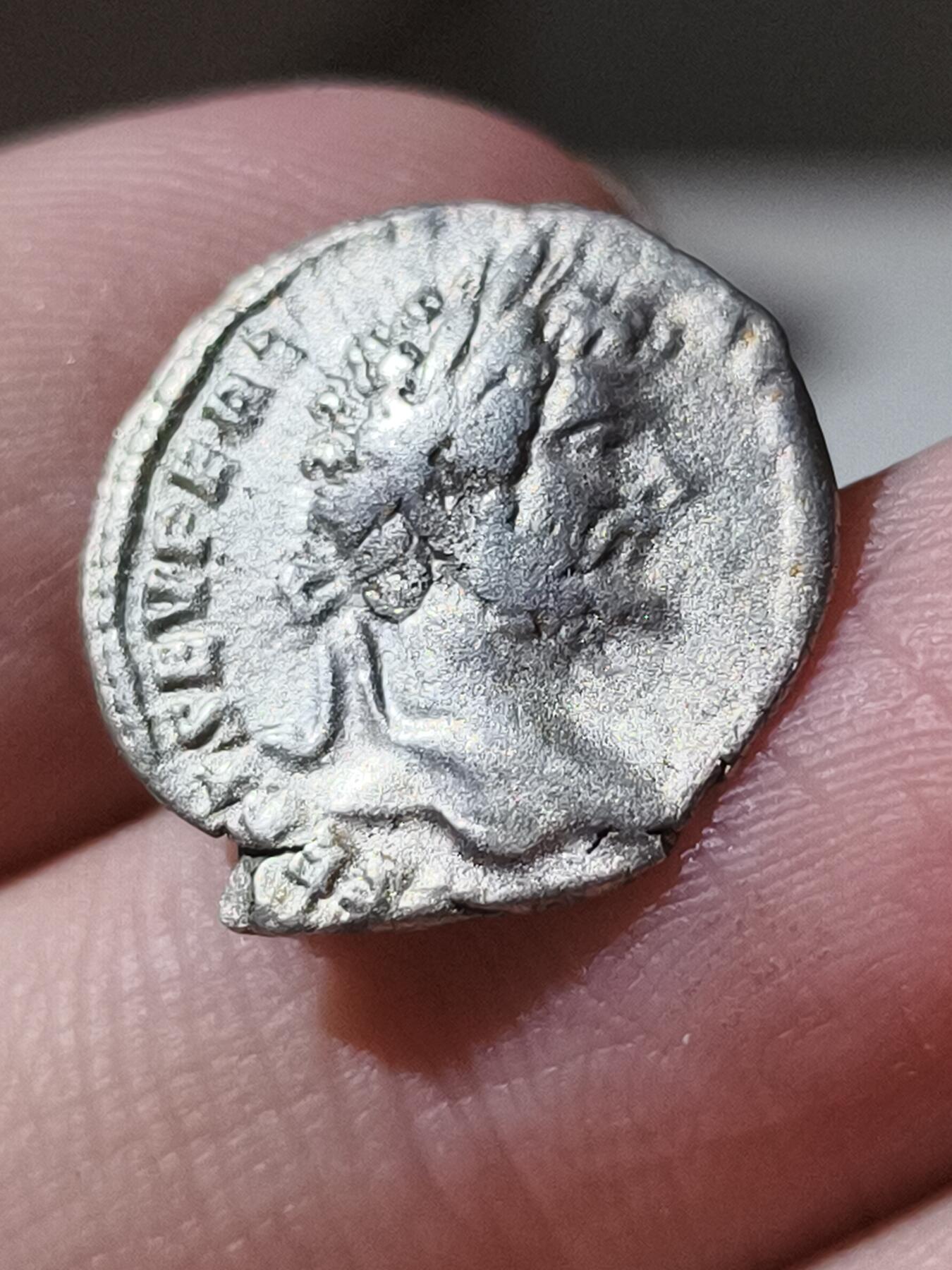 星盘世界钱币 5.2年度精品币大拍 一周年抽奖活动