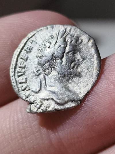 星盘世界钱币 5.2年度精品币大拍 一周年抽奖活动 塞维鲁第纳尔，发行于公元196-197年，罗马造币厂。背面大象，币文MVNIFICENTIA AVG，慷慨的奥古斯都。这类硬币上的大象，是当时用于庆典活动的，以此来表示皇帝慷慨地为市民准备活动。