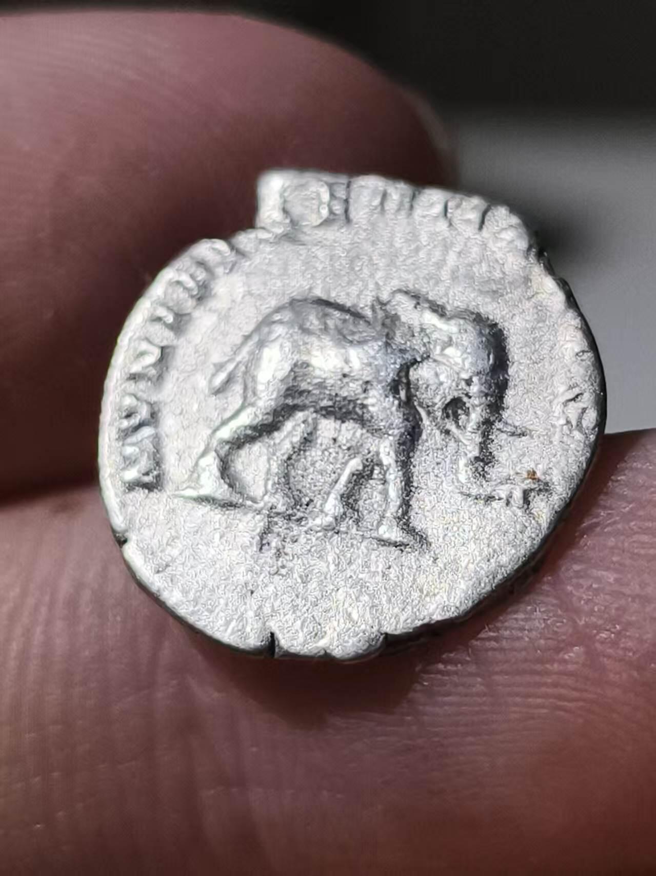 星盘世界钱币 5.2年度精品币大拍 一周年抽奖活动