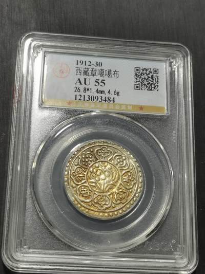 天下钱庄专场欢迎参拍 西藏章噶银币