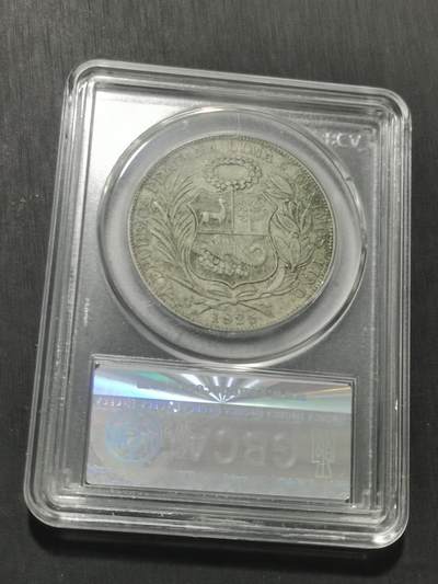 天下钱庄专场欢迎参拍 秘鲁1索尔银币