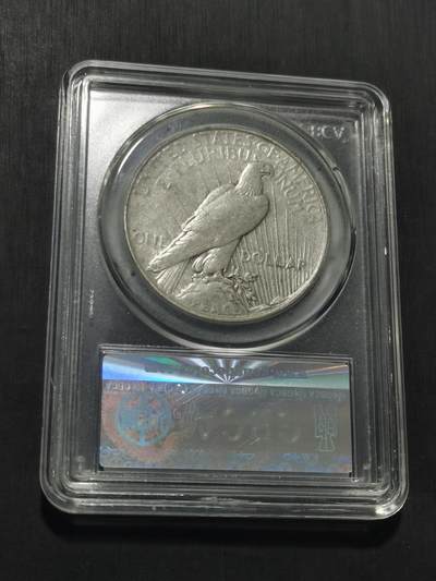 天下钱庄专场欢迎参拍 美国和平鸽一美元银币