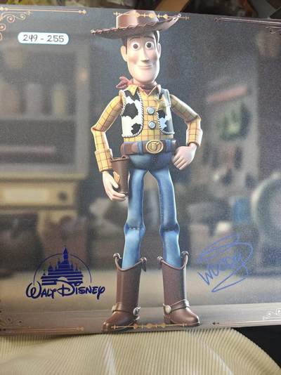 寸草不生 马年拍卖第四期 GOGOGO   迪斯尼100周年 big one 大卡  编号 249