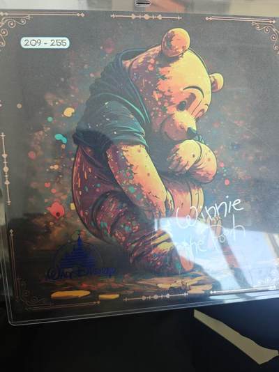 寸草不生 马年拍卖第四期 GOGOGO   迪斯尼100周年 big one 大卡  编号 209