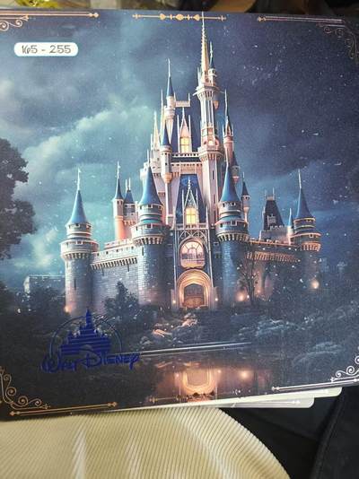 寸草不生 马年拍卖第四期 GOGOGO   迪斯尼100周年 big one 大卡  编号 145