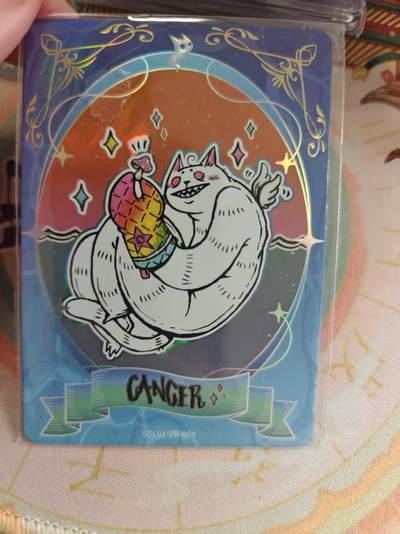 寸草不生 马年拍卖第四期 GOGOGO   卡游 怪异猫 365生日编 04/07