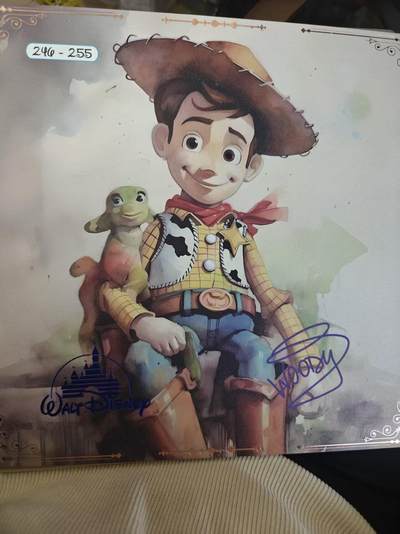 寸草不生 马年拍卖第四期 GOGOGO   迪斯尼100周年 big one 大卡  编号 244