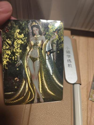 寸草不生 马年拍卖第四期 GOGOGO   二十四节气立春  粗闪 011/066