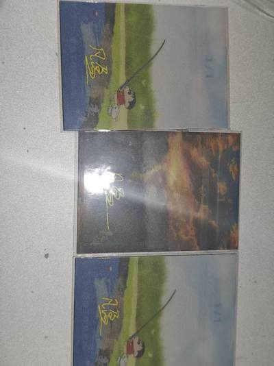 寸草不生 马年拍卖第四期 GOGOGO   【退坑】 蜡笔小新 手绘 3张