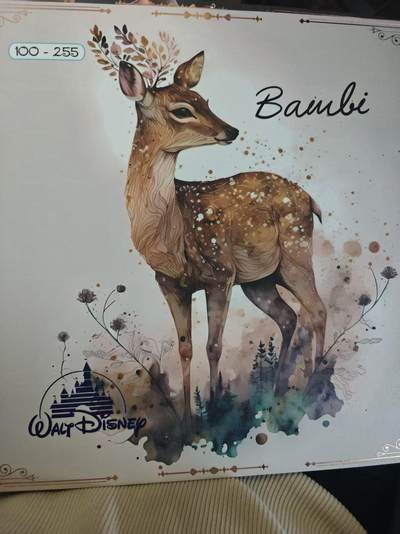 寸草不生 马年拍卖第四期 GOGOGO   迪斯尼100周年 big one 大卡  编号 100