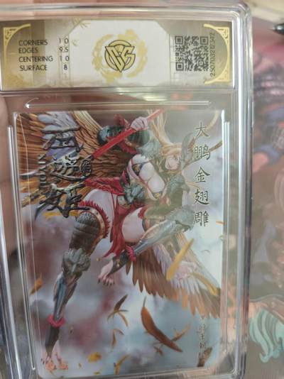 寸草不生 马年拍卖第四期 GOGOGO   焱卡文化西游姬大鹏金翅雕
8.5
星光