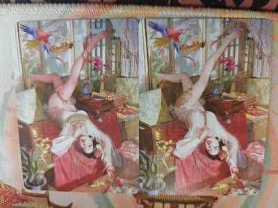 寸草不生 马年拍卖第四期 GOGOGO   燎原卡牌 刷子老师 ST-Brush 李桂姐 普卡 一组