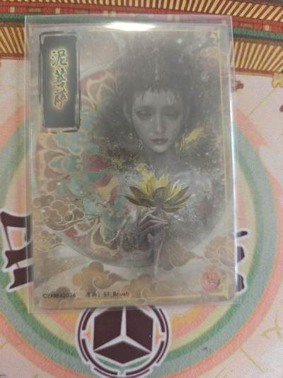 寸草不生 马年拍卖第四期 GOGOGO   刷子特卡泥菩萨粗闪一张。