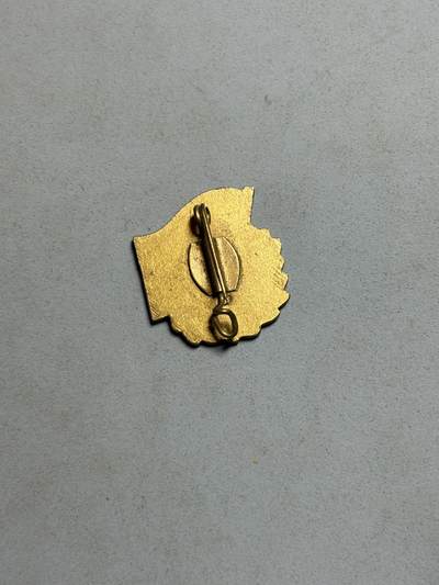 盛世勋华——号角文化勋章邮票专场拍卖第319期 民主德国（东德）“恩斯特·台尔曼”少先队的优秀学习证章，也被称为“良好知识证章”。