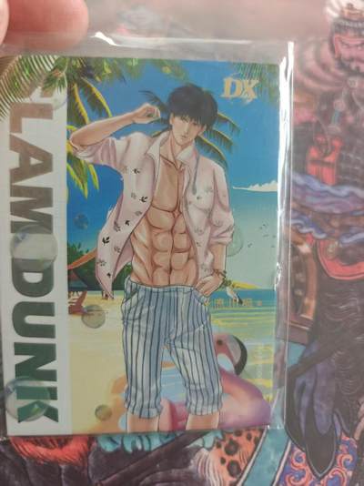 寸草不生 马年拍卖第四期 GOGOGO   麦卡  灌篮高手一全国大赛DX

18/88