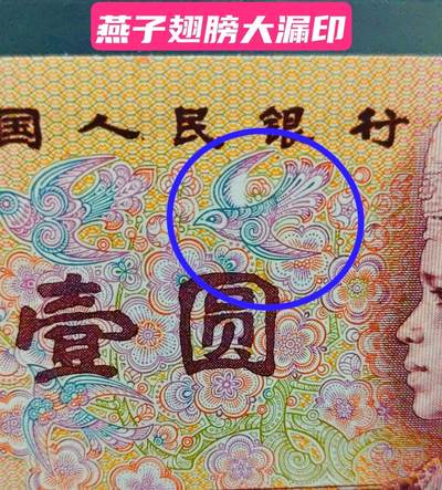珍稀大漏印！801燕子图案印刷错币一张