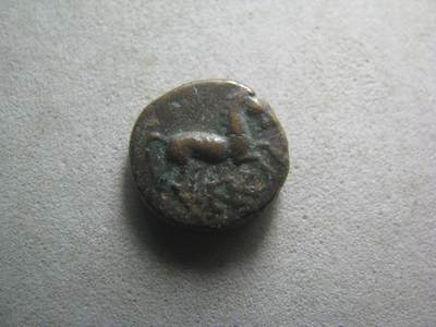古代钱币 - 古希腊 小马 铜币