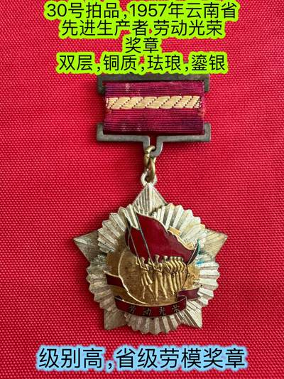 五哥徽章群   6号周四晚上八点4群联拍 - 云南省奖章